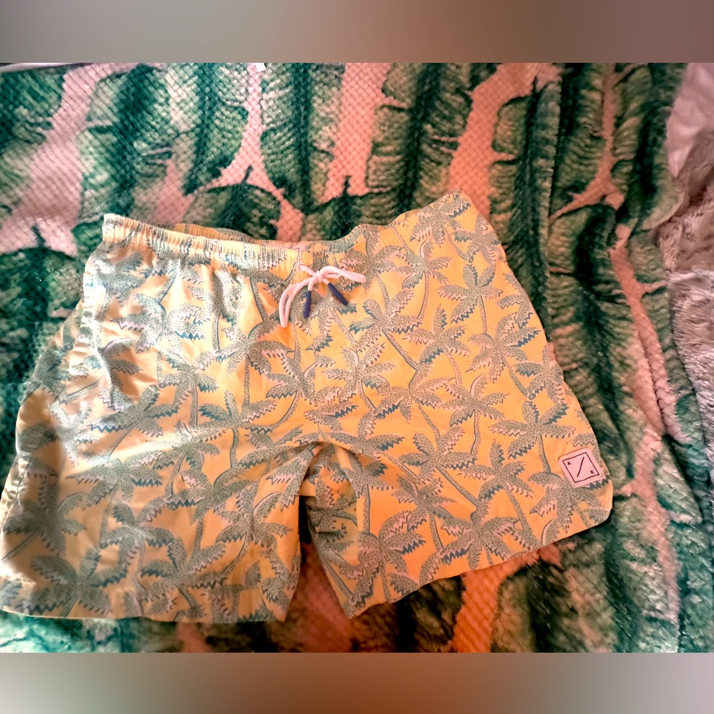 American Eagle swim trunks